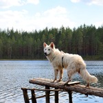 Аватара пользователя