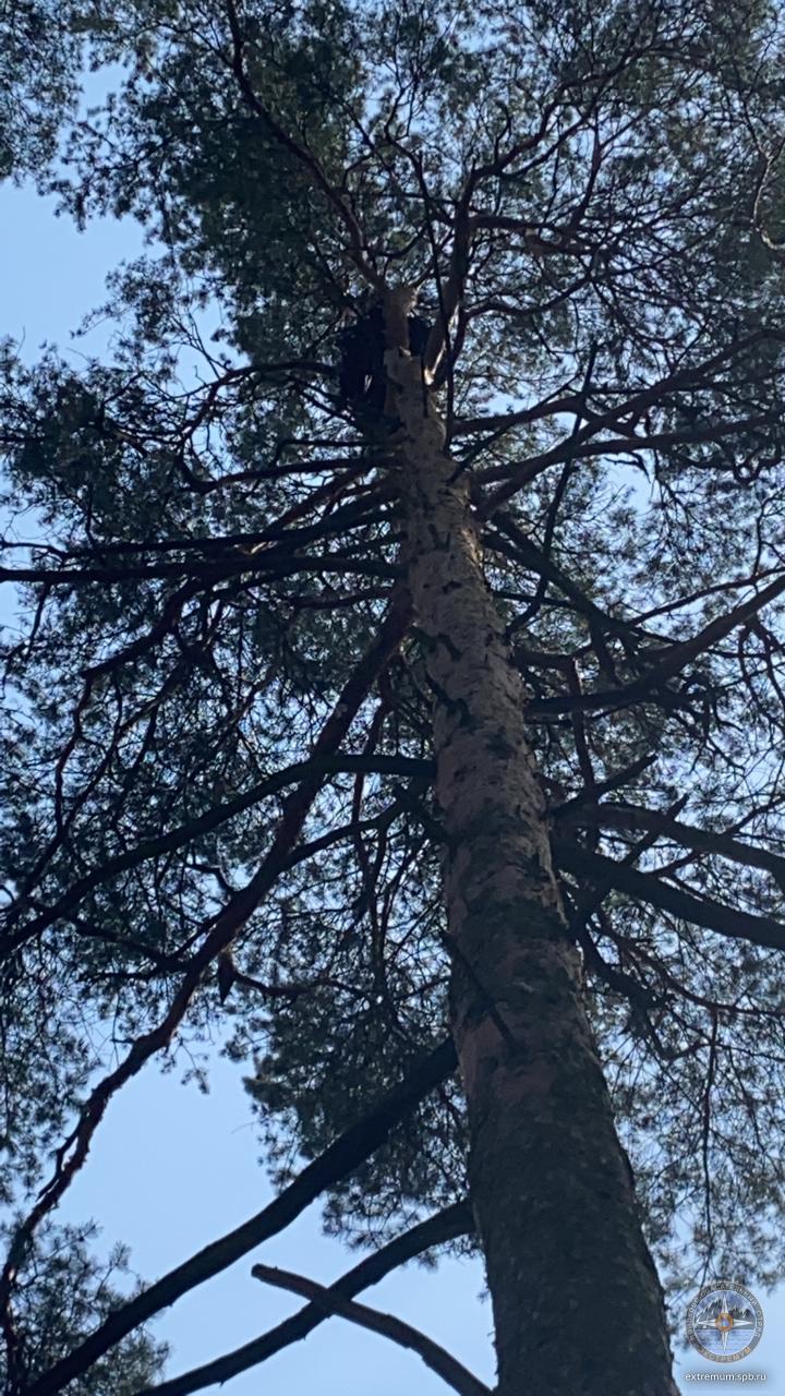 WhatsApp Image 2021-05-18 at 15.44.15.jpeg