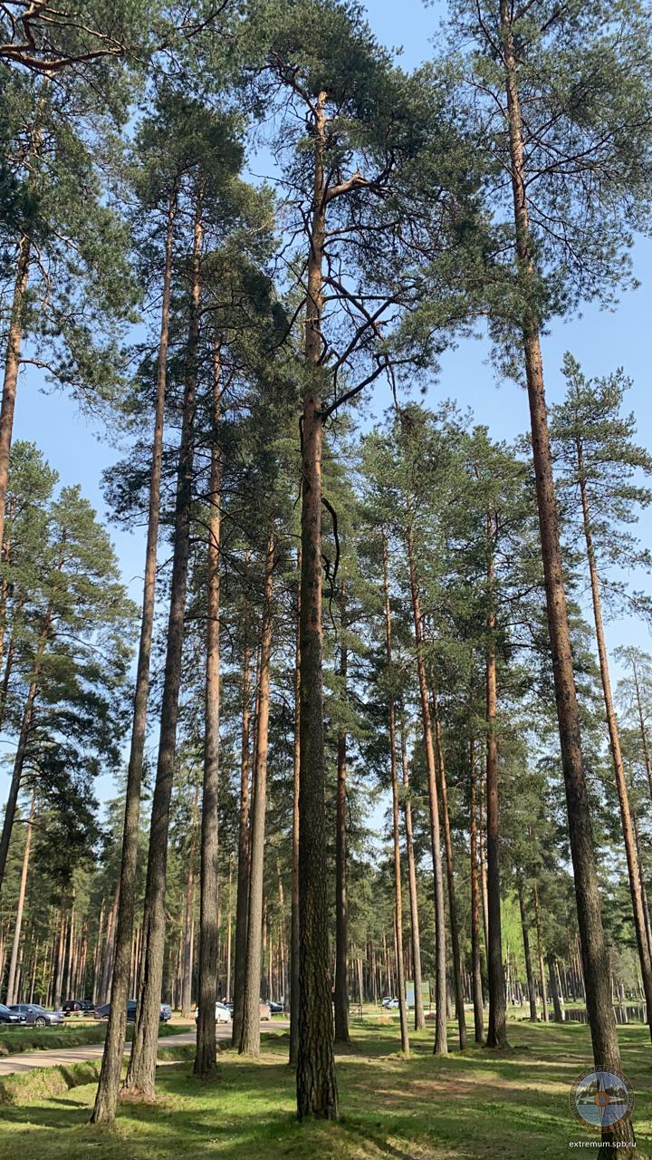 WhatsApp Image 2021-05-18 at 15.44.15 (1).jpeg