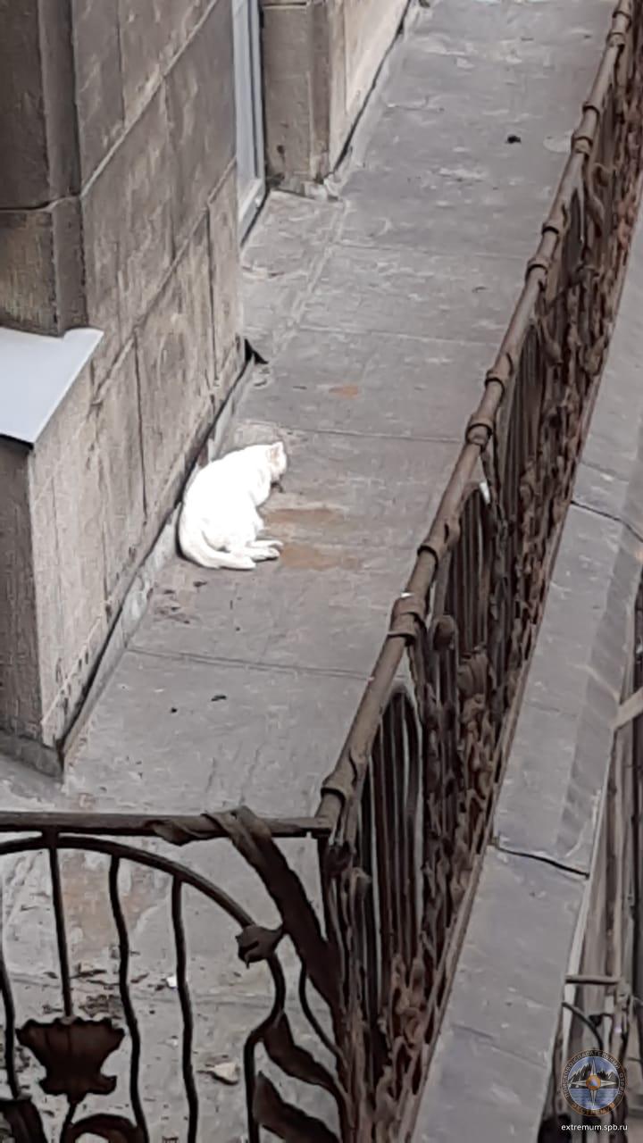 WhatsApp Image 2021-05-20 at 11.34.38.jpeg