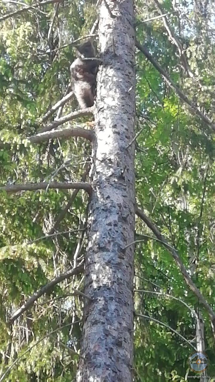 WhatsApp Image 2021-05-29 at 19.02.06.jpeg