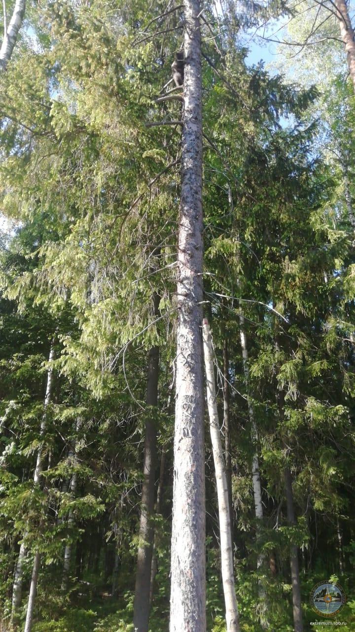 WhatsApp Image 2021-05-29 at 19.02.06 (1).jpeg