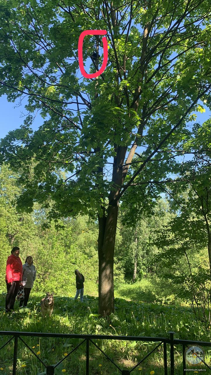 WhatsApp Image 2021-05-30 at 12.05.46.jpeg