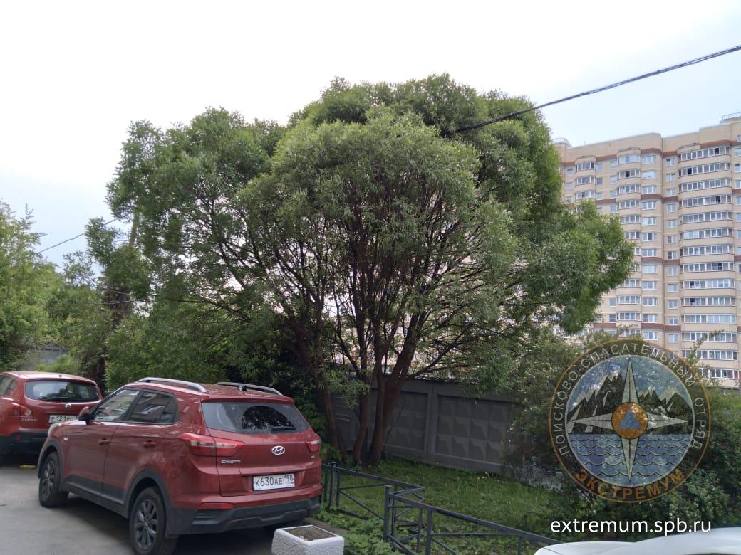 WhatsApp Image 2021-05-31 at 16.26.49.jpeg