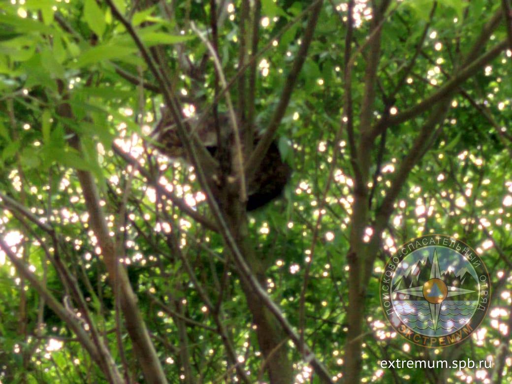 WhatsApp Image 2021-05-31 at 16.27.17.jpeg