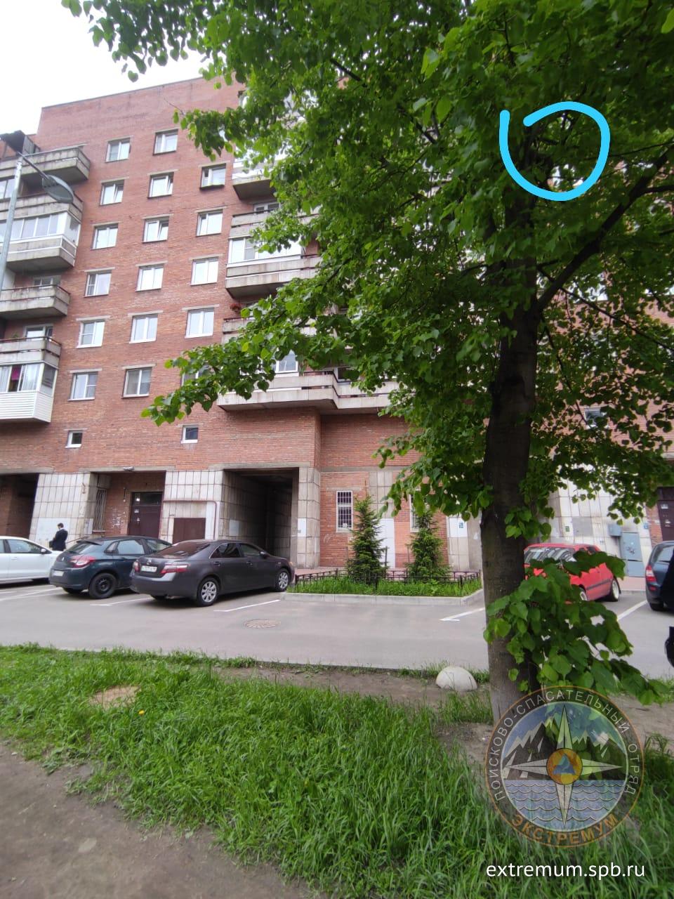 WhatsApp Image 2021-05-31 at 18.30.02.jpeg