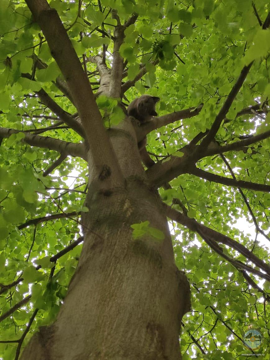 WhatsApp Image 2021-05-31 at 18.29.18.jpeg