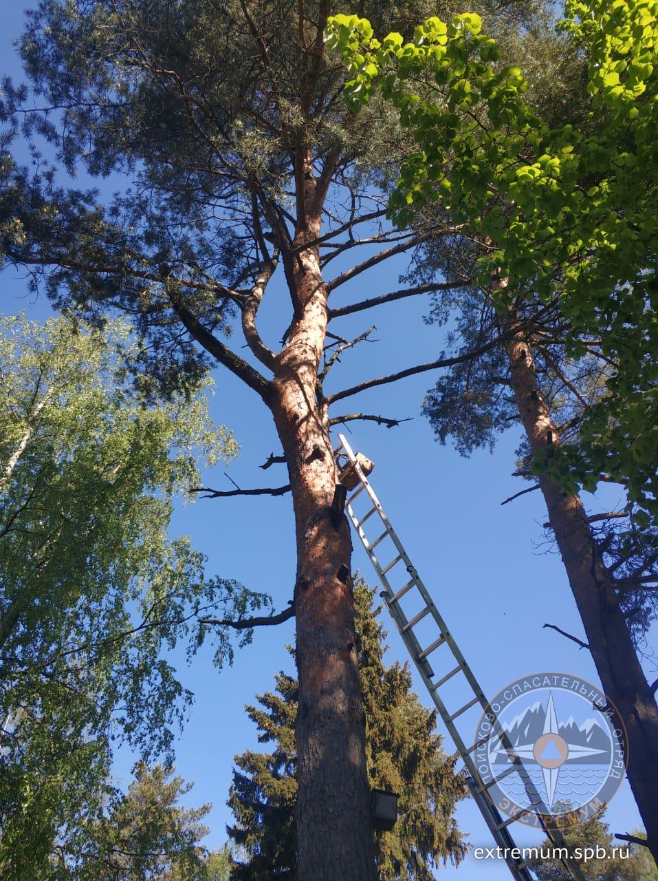 WhatsApp Image 2021-06-01 at 09.16.27.jpeg