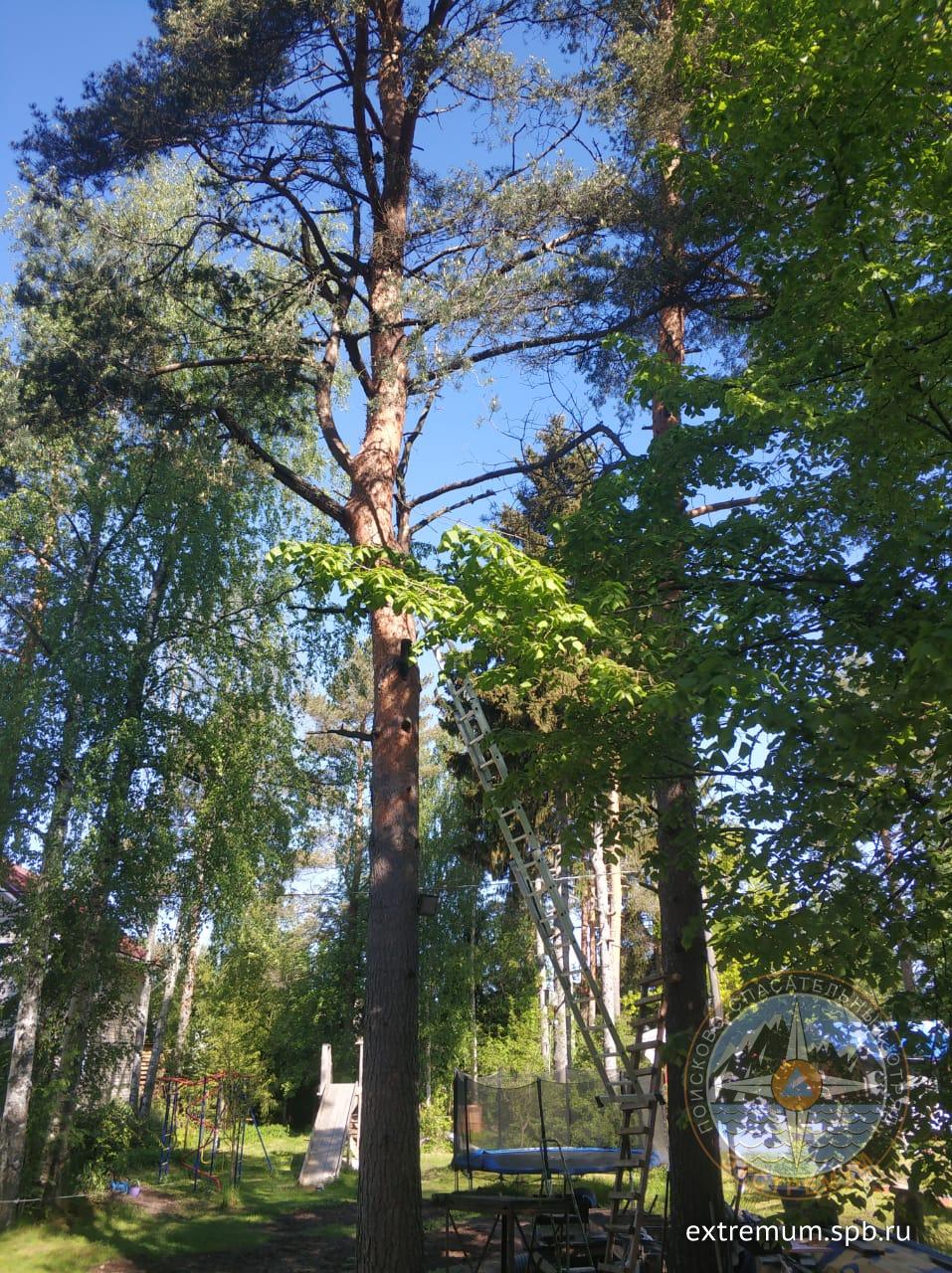 WhatsApp Image 2021-06-01 at 09.16.27 (1).jpeg