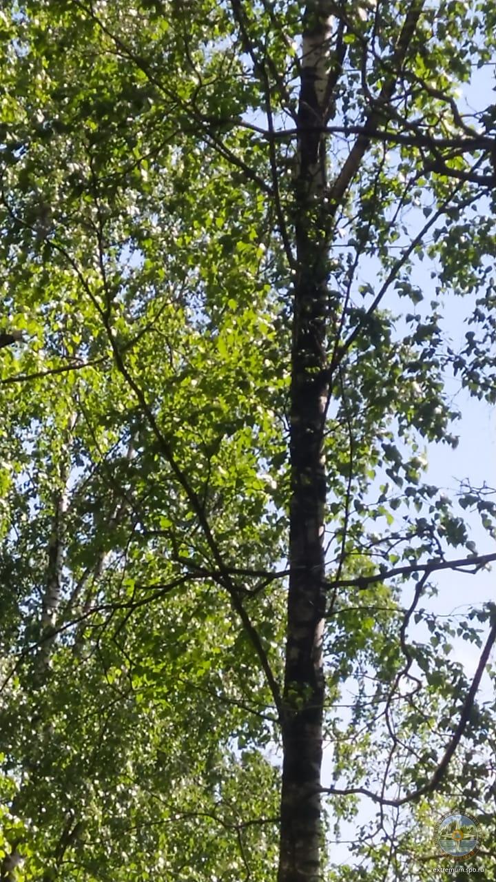 WhatsApp Image 2021-06-02 at 14.02.50.jpeg