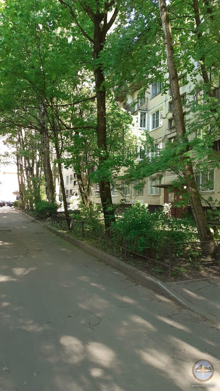 WhatsApp Image 2021-06-02 at 17.08.08.jpeg