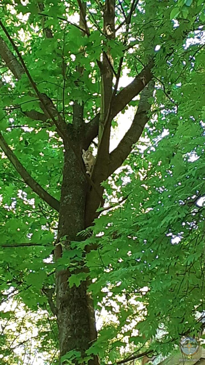 WhatsApp Image 2021-06-02 at 17.08.21.jpeg