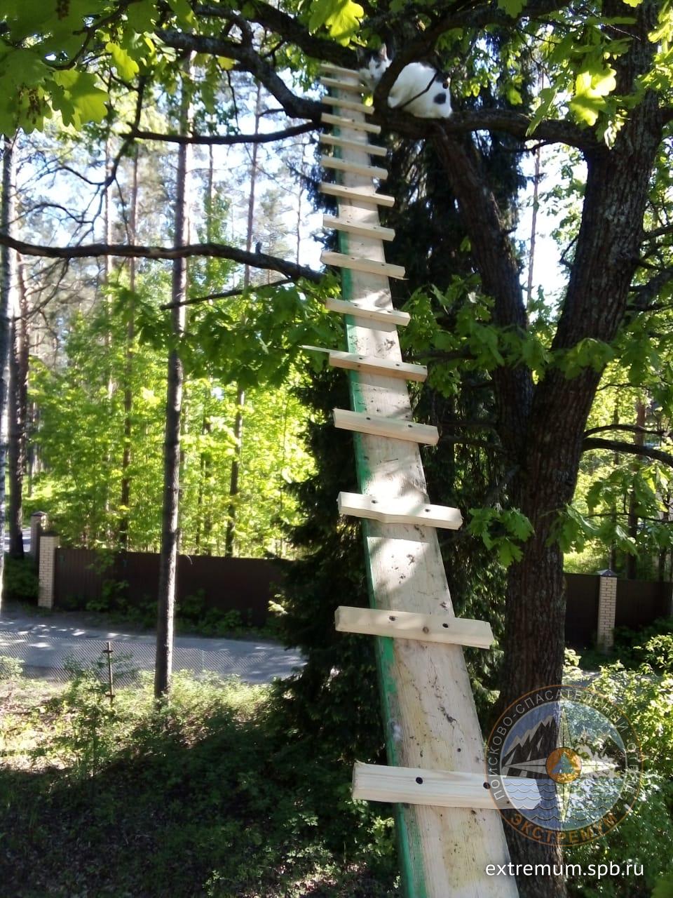 WhatsApp Image 2021-06-02 at 17.26.57.jpeg