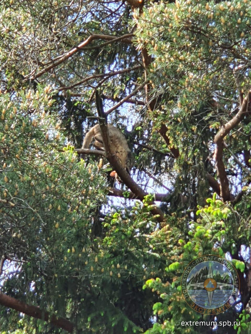 WhatsApp Image 2021-06-03 at 13.14.42.jpeg