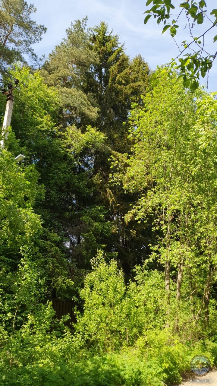 WhatsApp Image 2021-06-03 at 13.14.24.jpeg