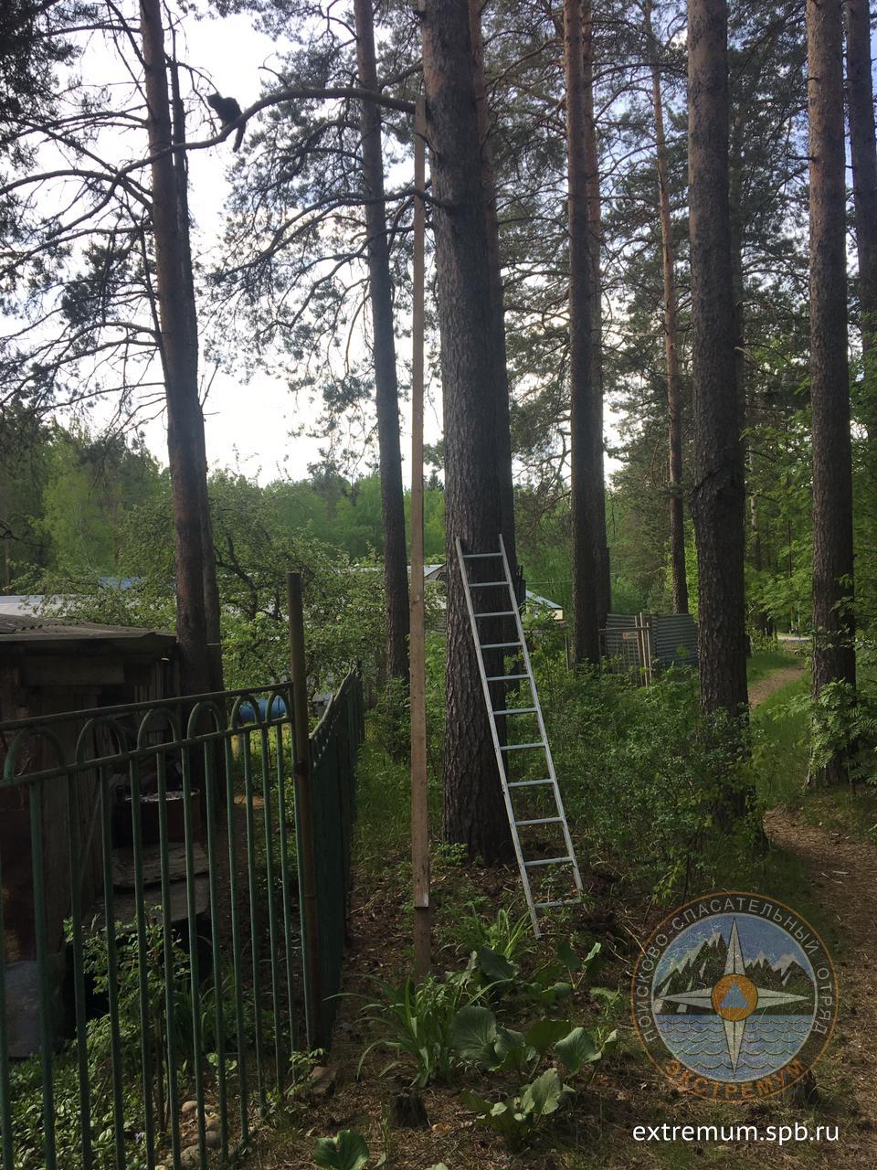 WhatsApp Image 2021-06-03 at 14.09.06.jpeg