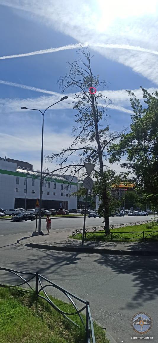 WhatsApp Image 2021-06-03 at 15.00.19.jpeg