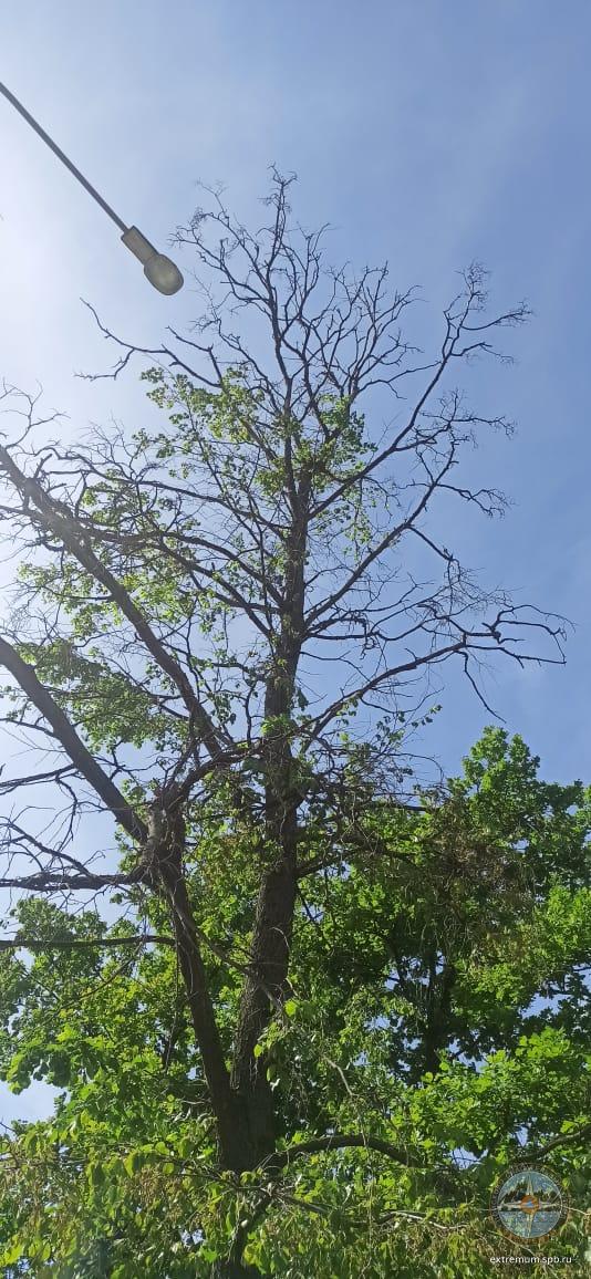 WhatsApp Image 2021-06-03 at 14.59.35.jpeg