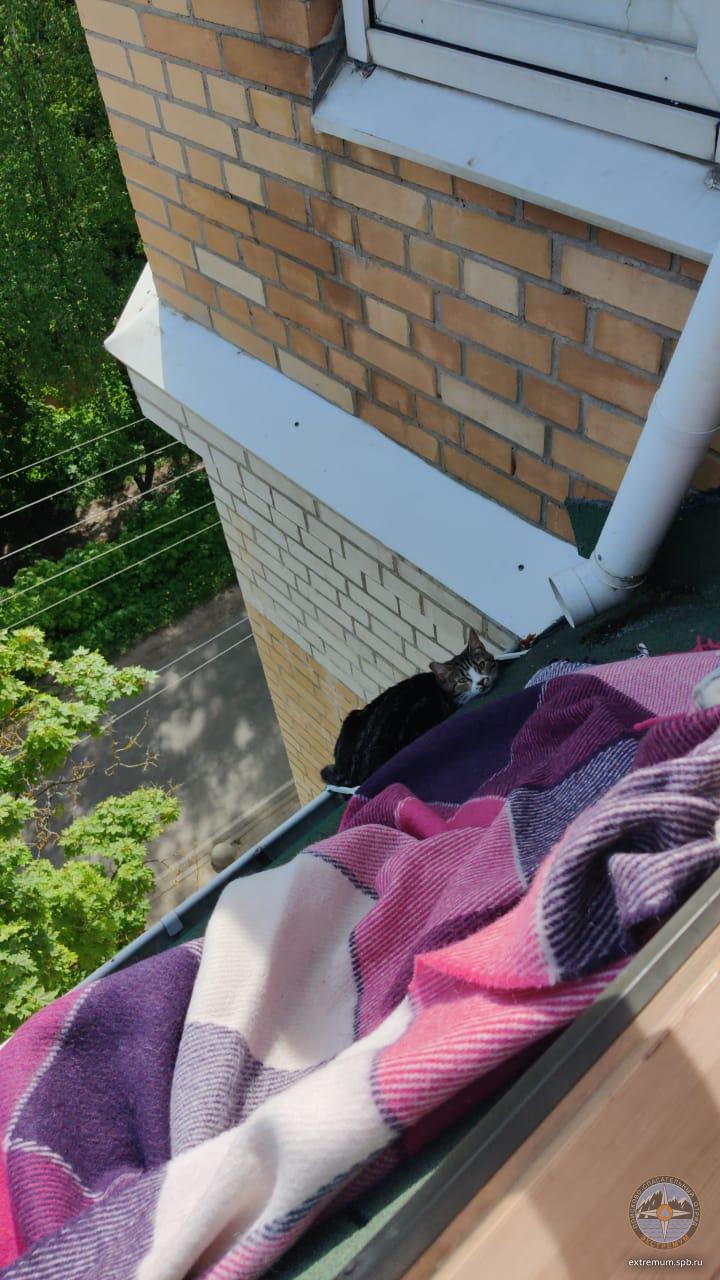 WhatsApp Image 2021-06-03 at 15.34.54.jpeg