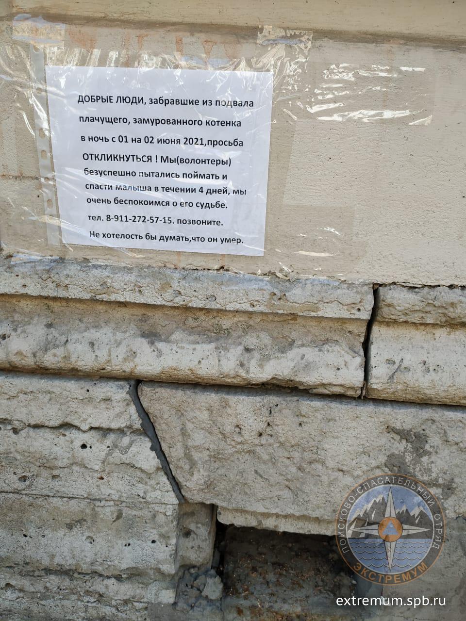 WhatsApp Image 2021-06-03 at 16.08.54.jpeg