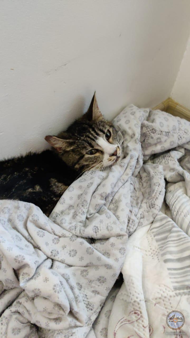 WhatsApp Image 2021-06-03 at 16.11.37.jpeg