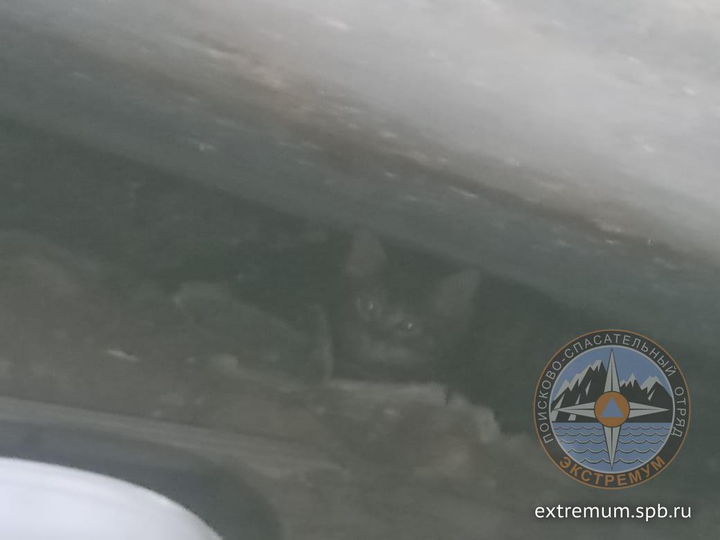 WhatsApp Image 2021-06-03 at 18.12.50.jpeg