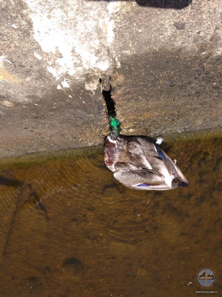 WhatsApp Image 2021-06-04 at 11.02.39.jpeg