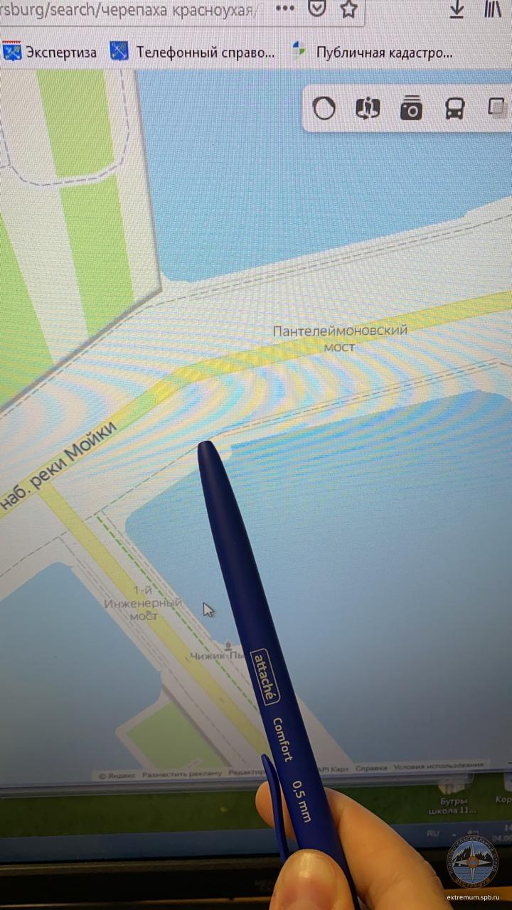 WhatsApp Image 2021-06-04 at 14.49.08.jpeg