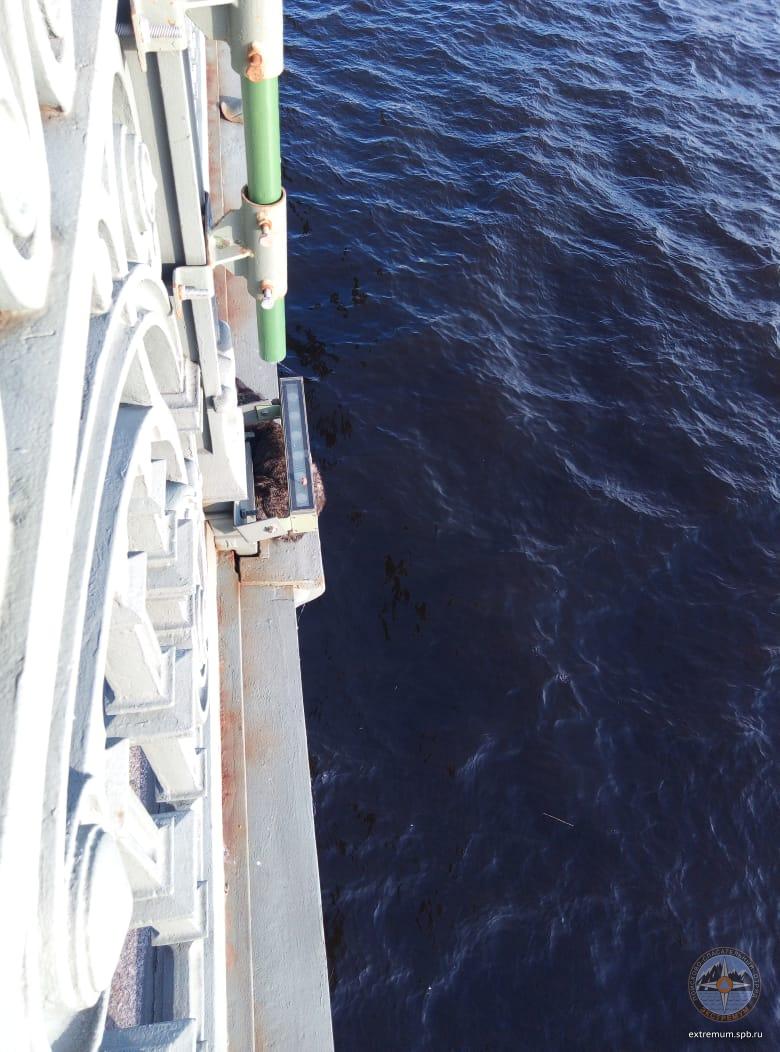 WhatsApp Image 2021-06-06 at 19.13.04.jpeg