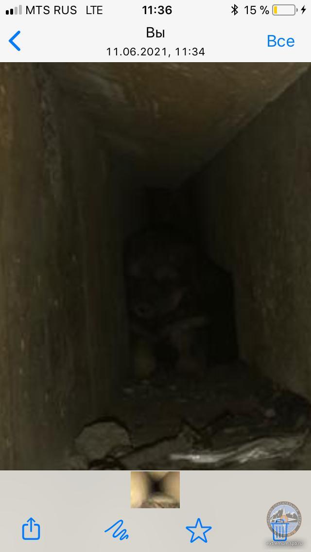 WhatsApp Image 2021-06-11 at 12.40.21 (1).jpeg