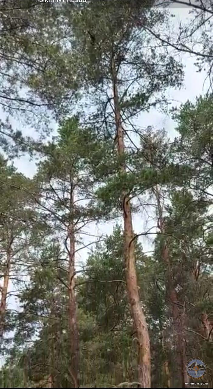 WhatsApp Image 2021-06-11 at 13.43.26 (1).jpeg