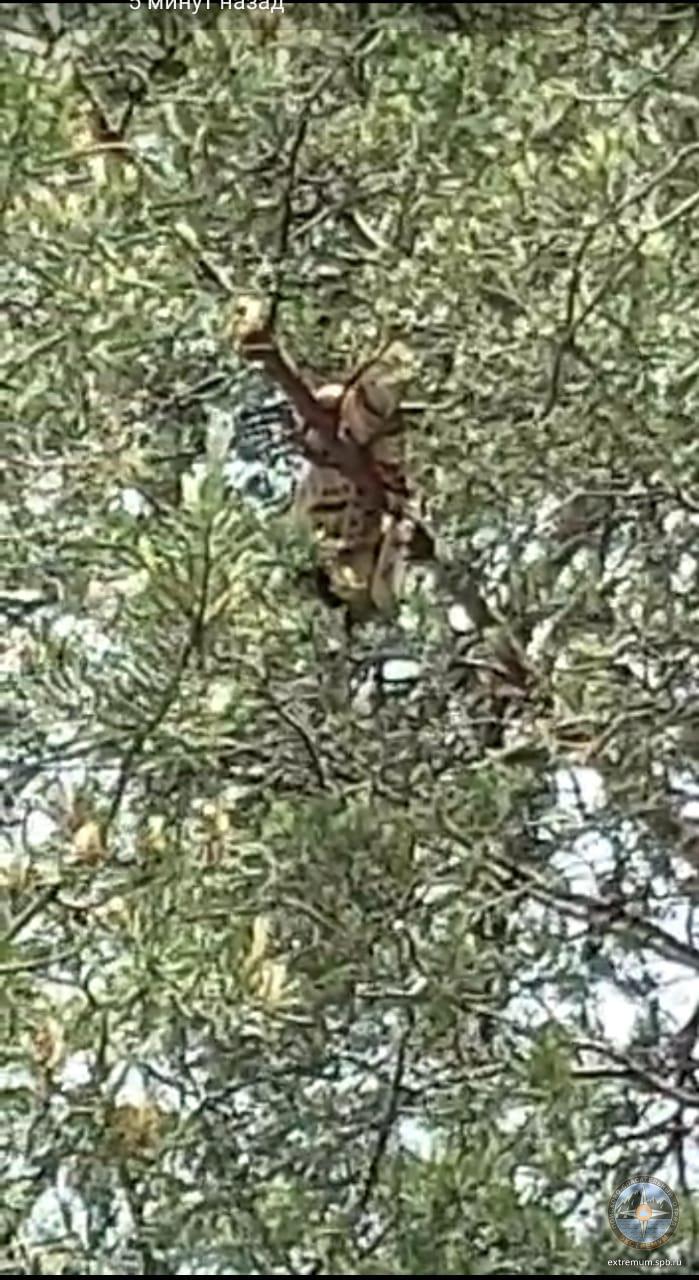 WhatsApp Image 2021-06-11 at 13.43.26.jpeg