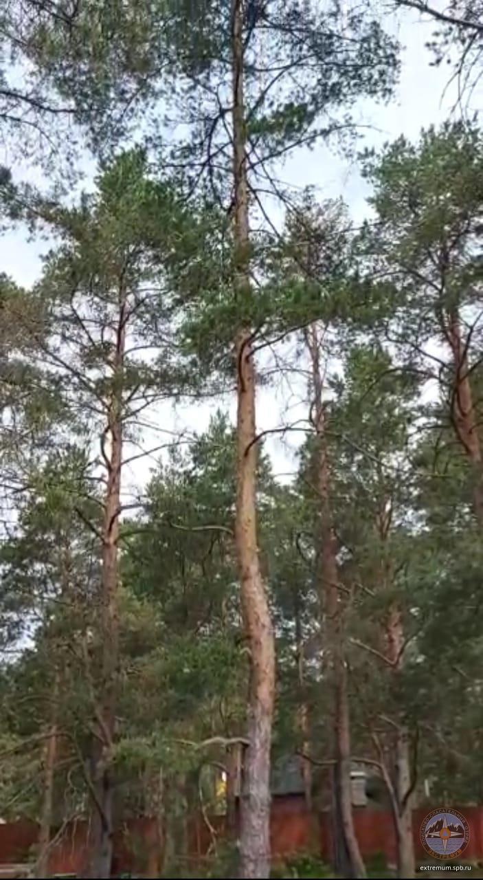 WhatsApp Image 2021-06-11 at 13.43.25.jpeg