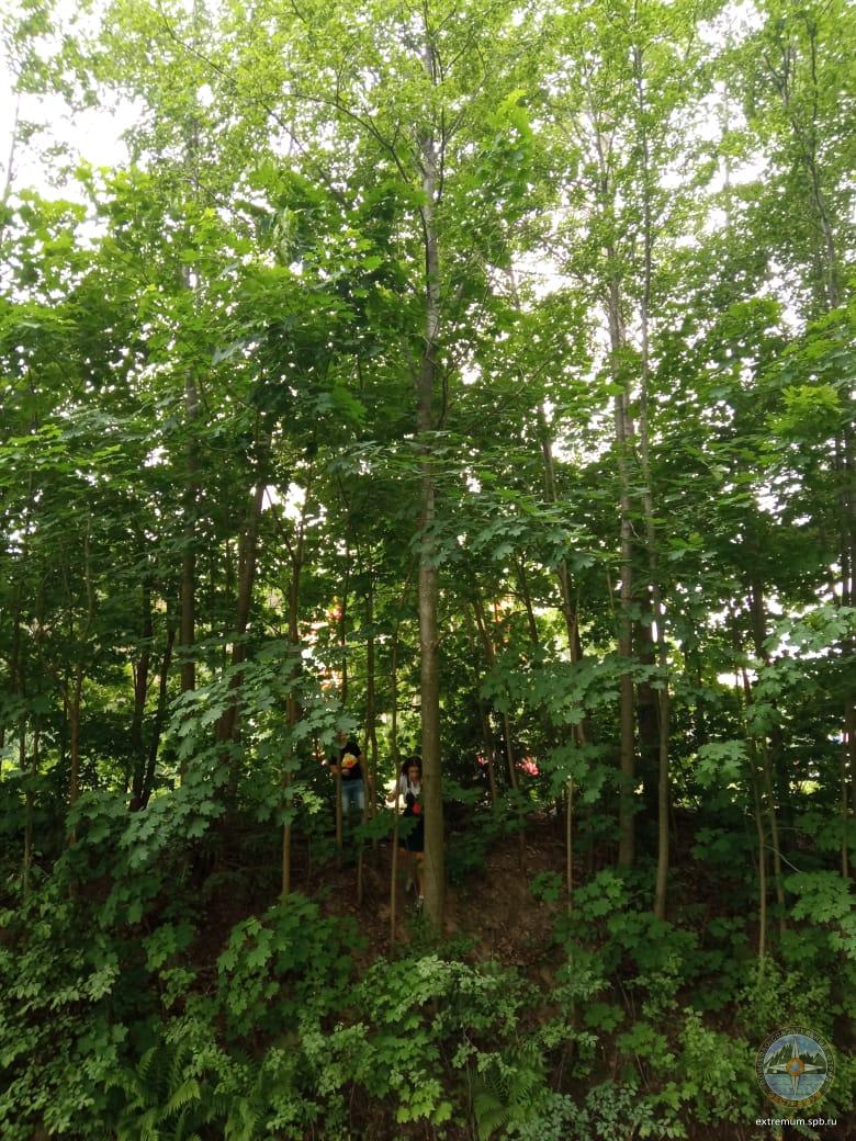 WhatsApp Image 2021-06-12 at 09.34.22 (2).jpeg