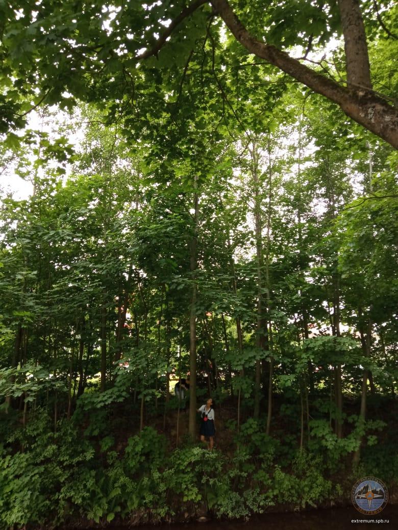 WhatsApp Image 2021-06-12 at 09.34.22 (1).jpeg