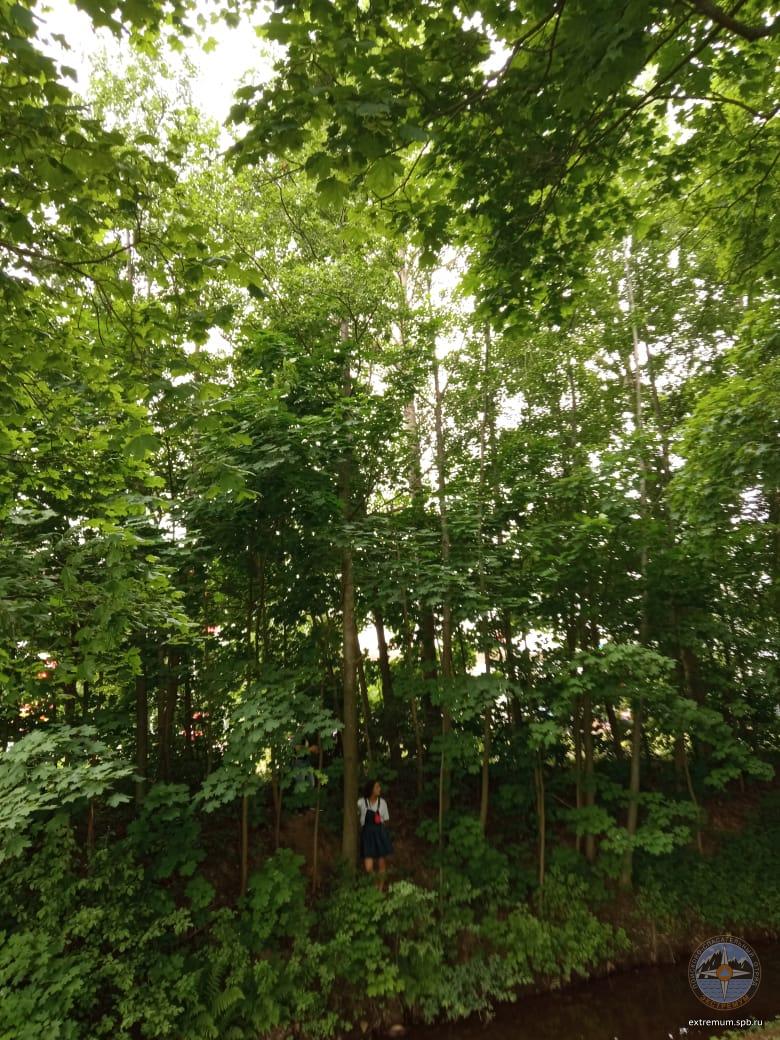 WhatsApp Image 2021-06-12 at 09.34.22.jpeg