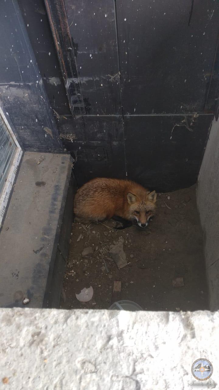 WhatsApp Image 2021-06-13 at 10.48.33.jpeg