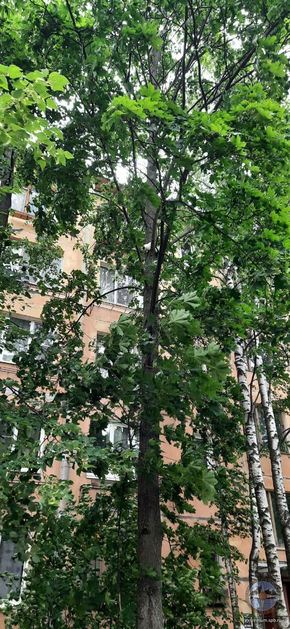 WhatsApp Image 2021-06-15 at 10.17.24.jpeg