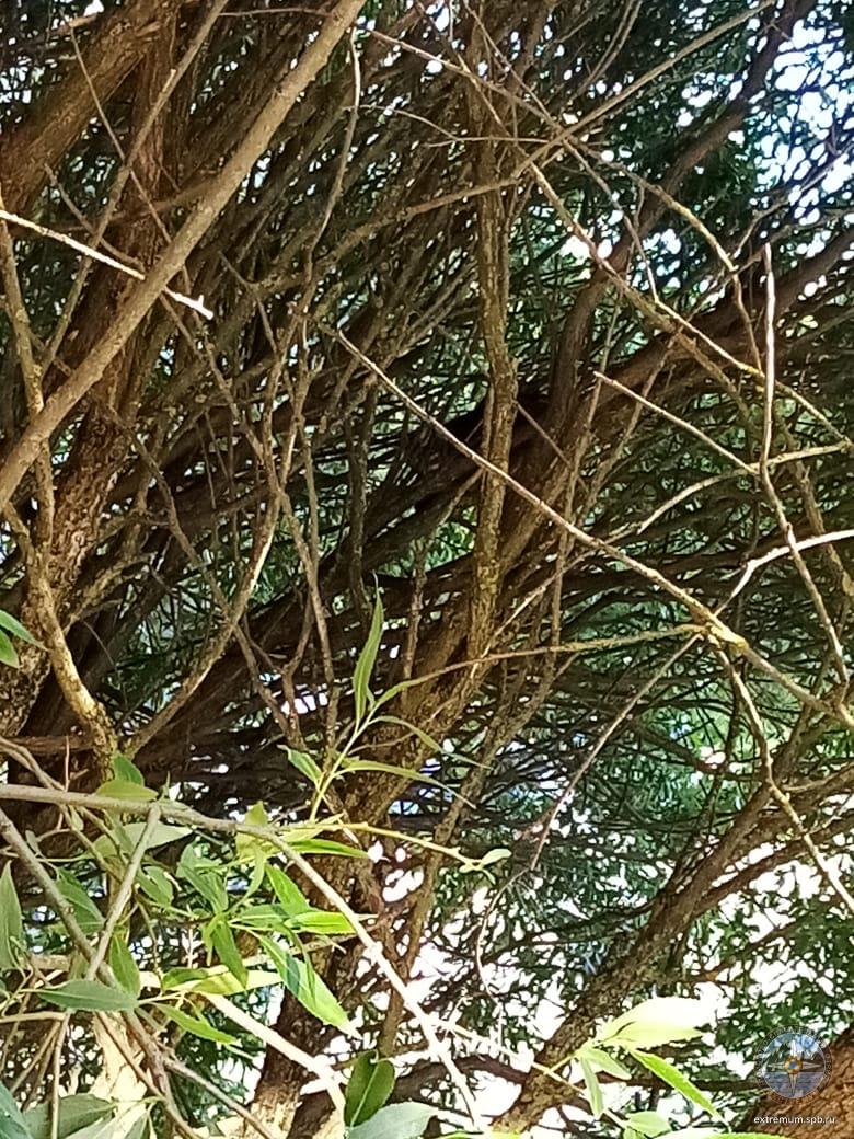 WhatsApp Image 2021-06-15 at 21.05.47.jpeg