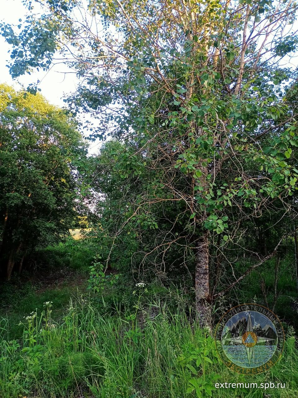 WhatsApp Image 2021-06-15 at 21.07.17.jpeg