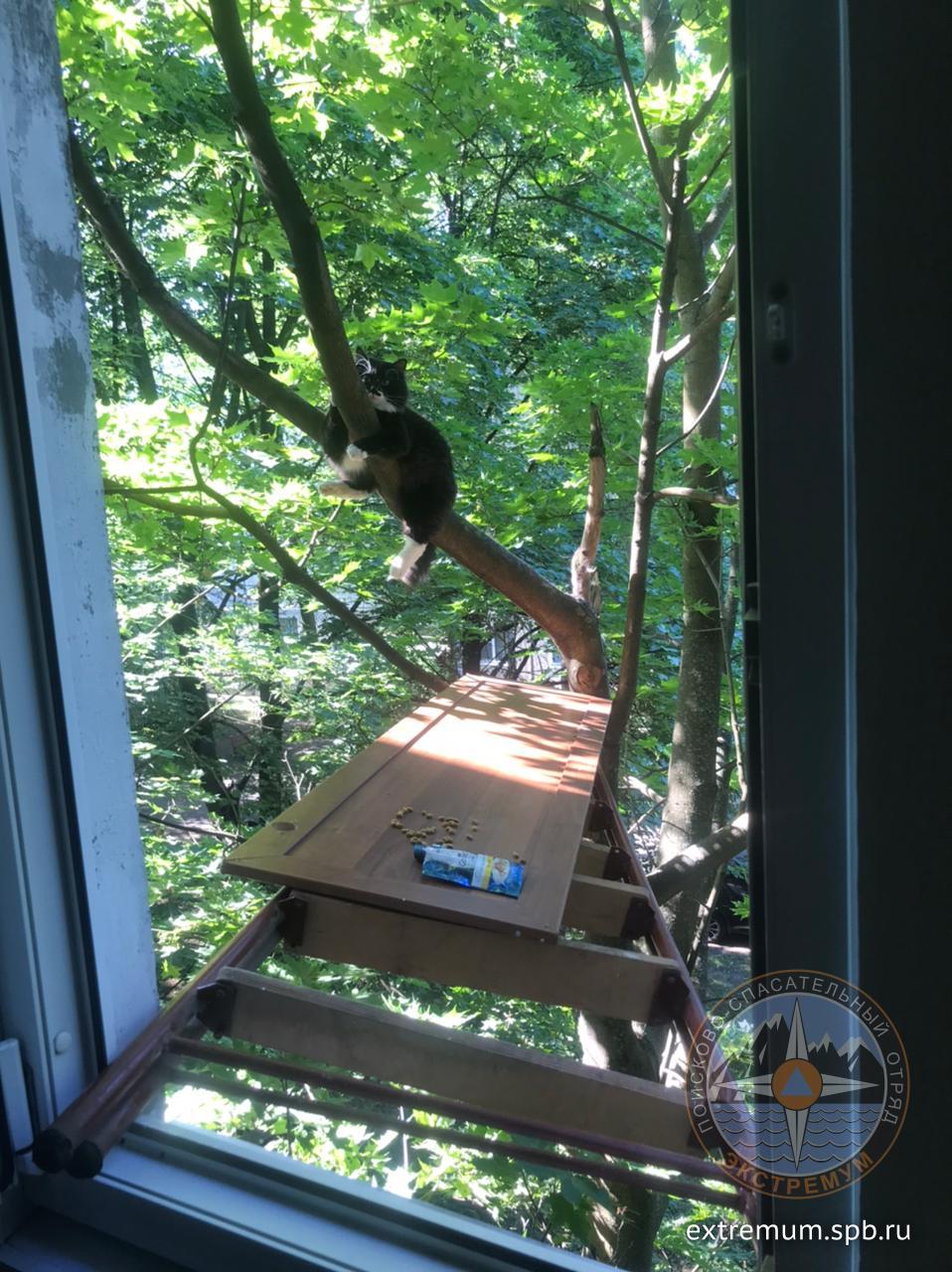 WhatsApp Image 2021-07-01 at 09.10.37.jpeg