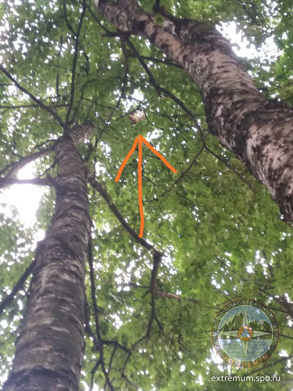 WhatsApp Image 2021-07-01 at 20.33.20.jpeg