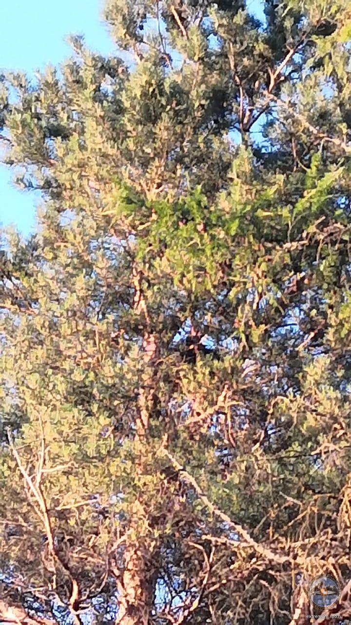 WhatsApp Image 2021-07-03 at 21.48.48 (2).jpeg