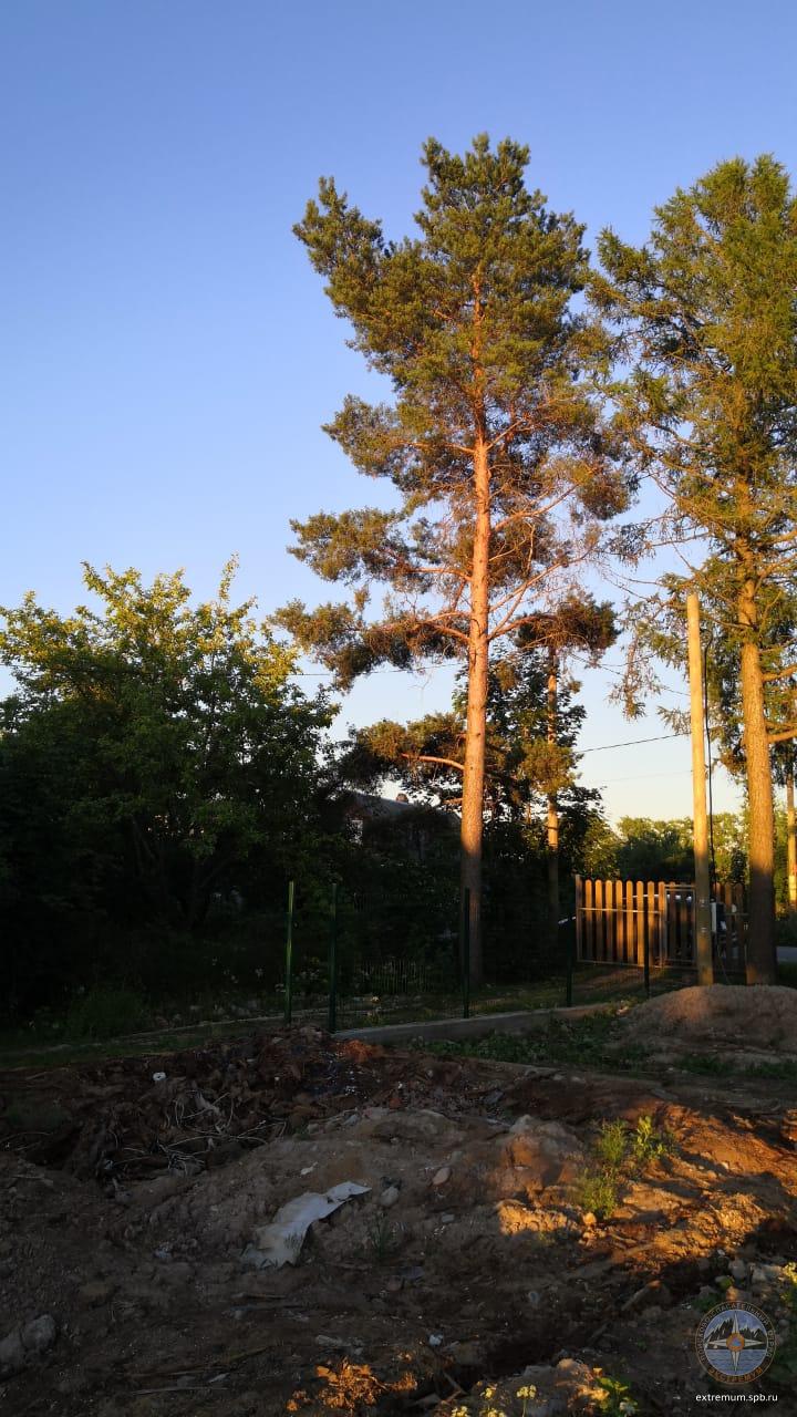 WhatsApp Image 2021-07-03 at 21.48.48 (1).jpeg