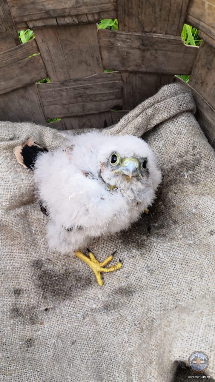 WhatsApp Image 2021-07-03 at 21.48.48.jpeg