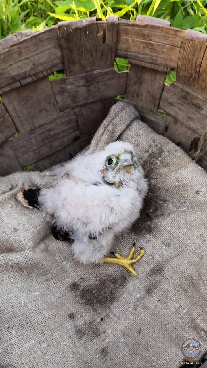 WhatsApp Image 2021-07-03 at 21.48.47.jpeg