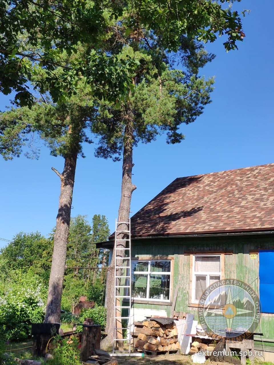 WhatsApp Image 2021-07-04 at 09.40.09.jpeg