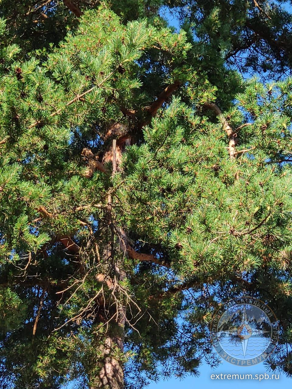 WhatsApp Image 2021-07-04 at 09.40.09 (1).jpeg