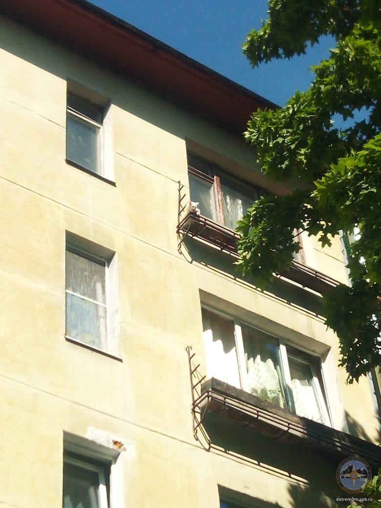 WhatsApp Image 2021-07-06 at 10.23.03.jpeg