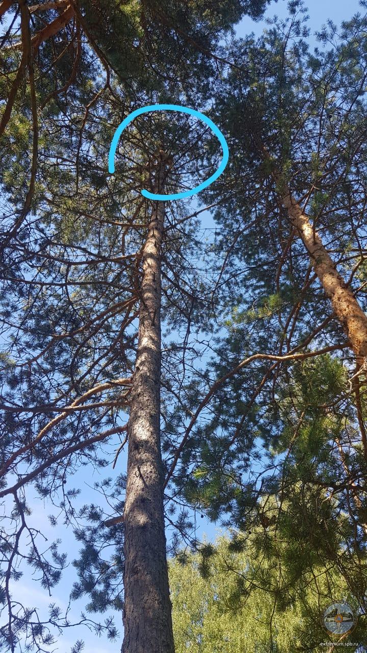 WhatsApp Image 2021-07-06 at 10.33.39.jpeg